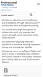 Mobile Screenshot of professional.ie